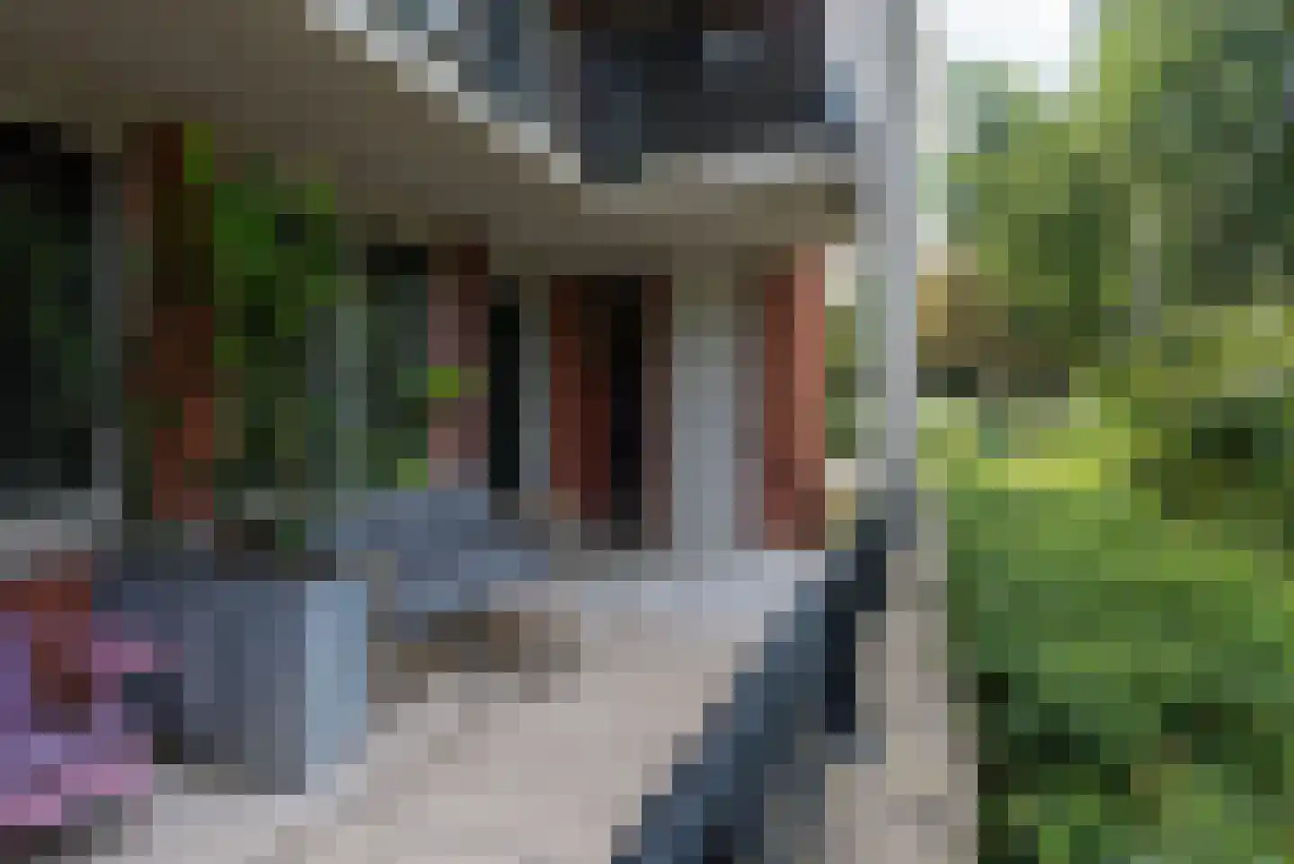 Iepenlaan 74 Alkmaar thumbnail 6