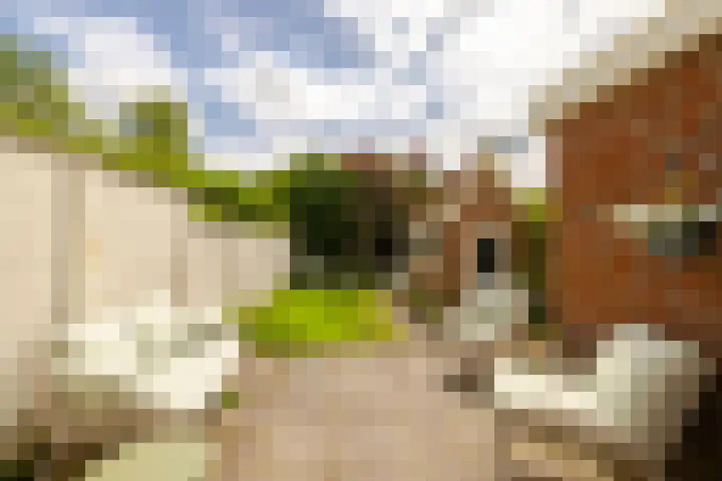 Iepenlaan 76 Bloemendaal thumbnail 20