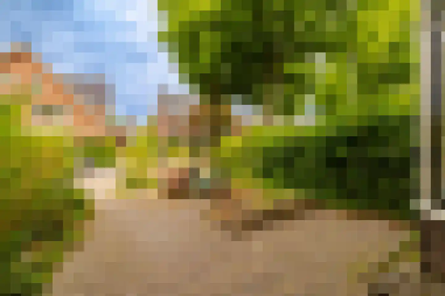 Iepenlaan 76 Bloemendaal thumbnail 22