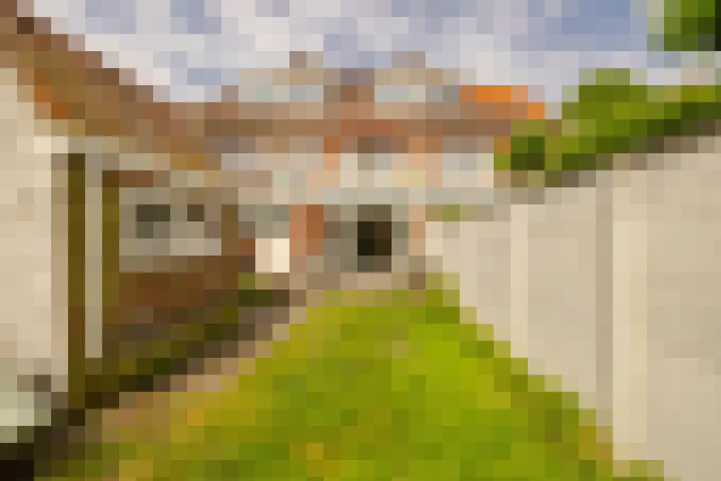 Iepenlaan 76 Bloemendaal foto 3
