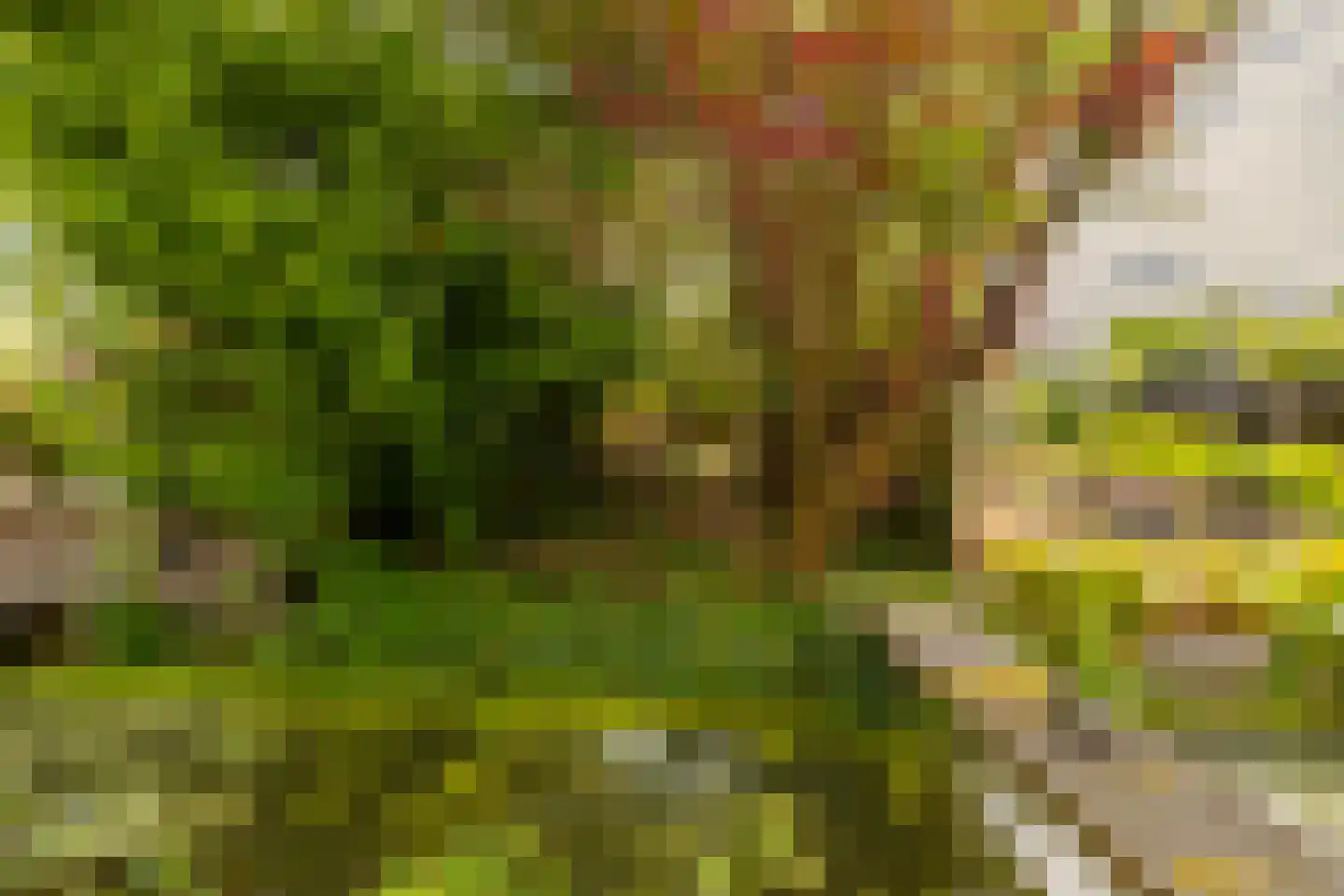 Iepenlaan 76 Bloemendaal thumbnail 5