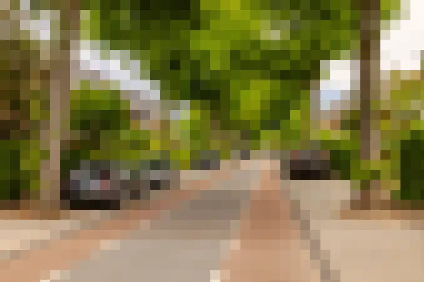 Iepenlaan 76 Bloemendaal thumbnail 54