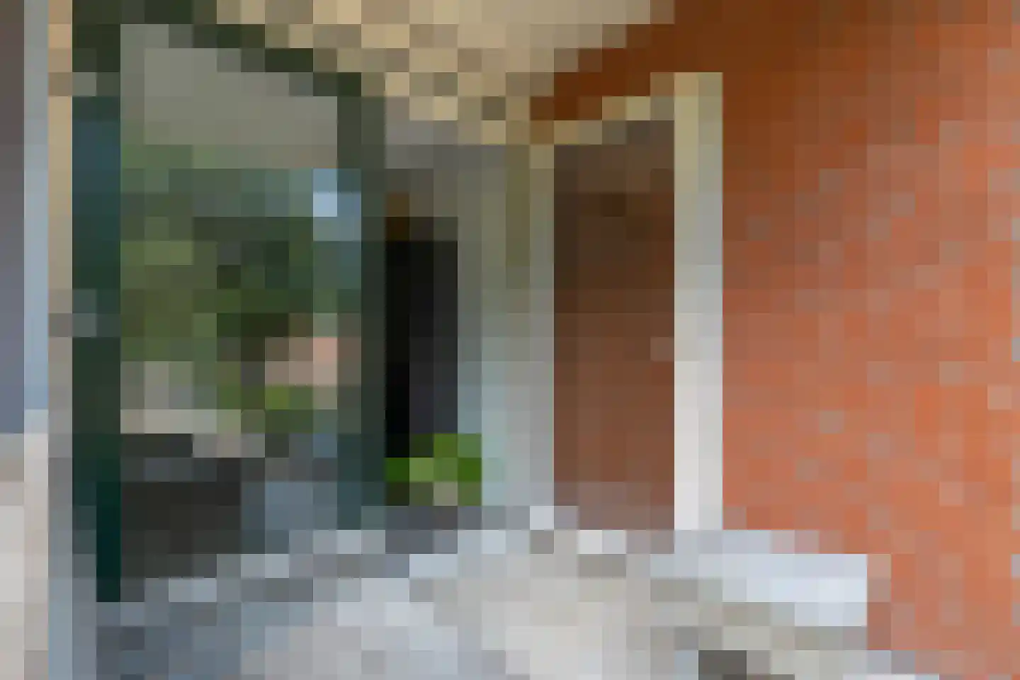 Iepenlaan 78 Alkmaar thumbnail 17