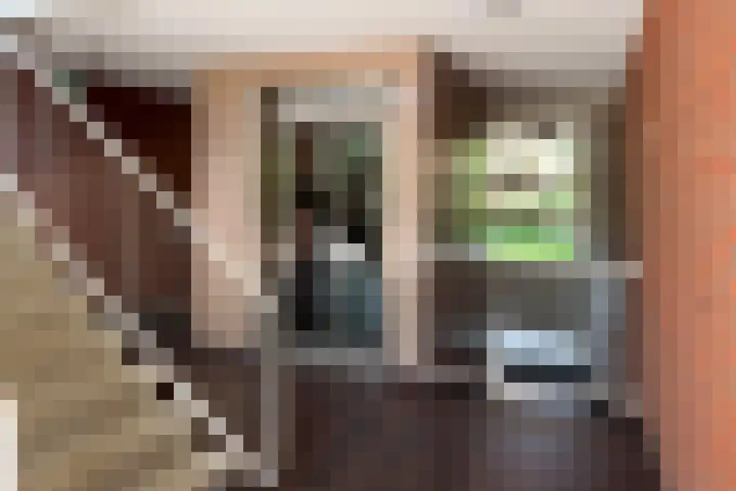 Iepenlaan 78 Alkmaar thumbnail 28