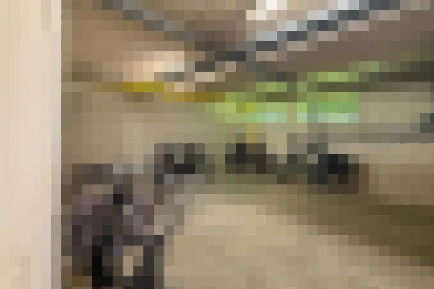 Iepenlaan 78 Alkmaar thumbnail 31
