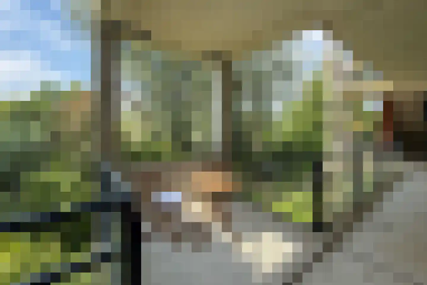 Iepenlaan 78 Alkmaar thumbnail 7