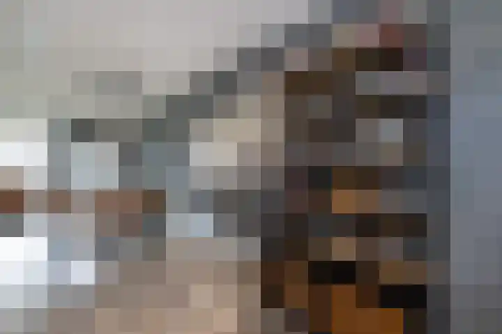 Iepenlaan 8 Dirksland thumbnail 12