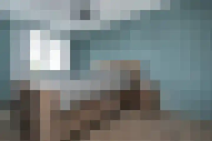 Iepenlaan 8 Dirksland thumbnail 16