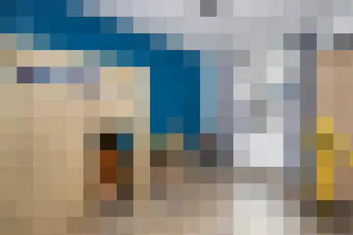 Iepenlaan 8 Dirksland thumbnail 18