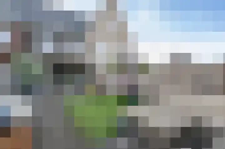 Iepenlaan 8 Dirksland thumbnail 24