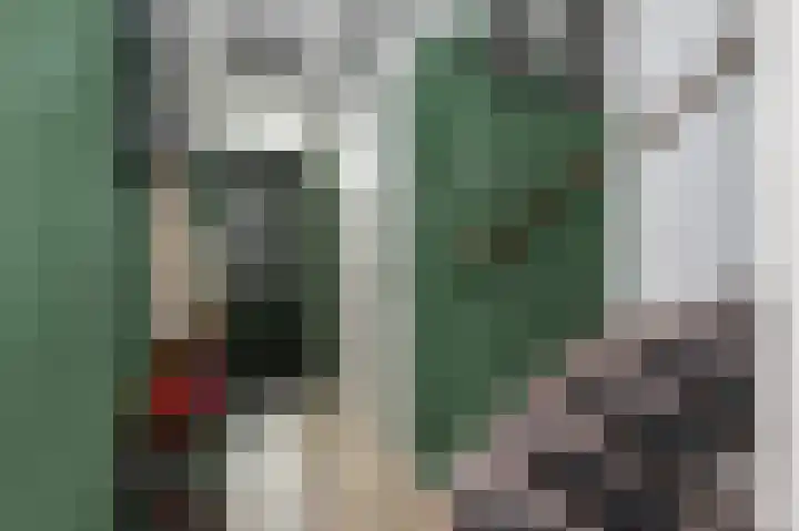 Iepenlaan 8 Dirksland thumbnail 7