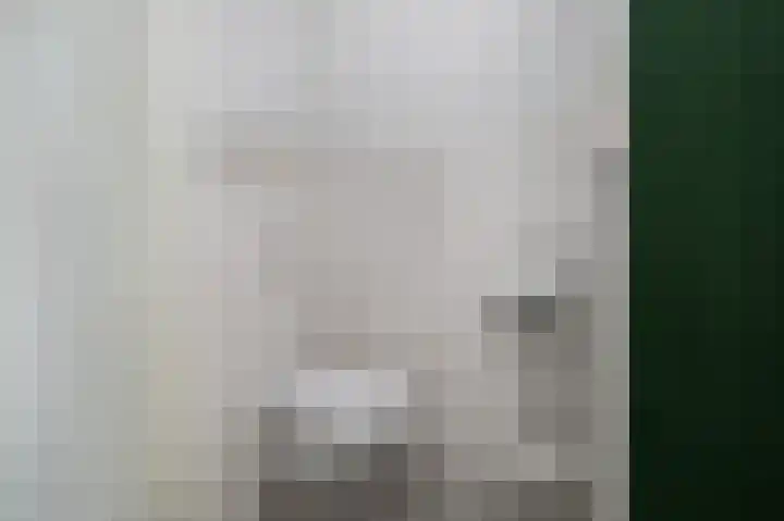 Iepenlaan 8 Dirksland thumbnail 8