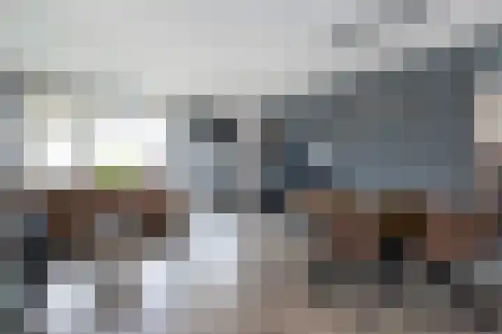 Iepenlaan 8 Dirksland thumbnail 9