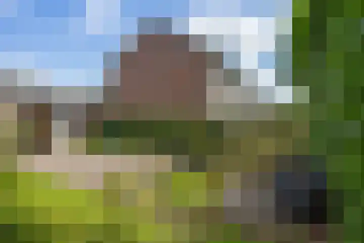 Iepenlaan 8 Geesbrug thumbnail 32