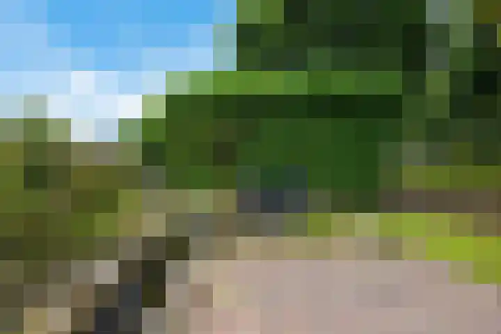 Iepenlaan 8 Geesbrug thumbnail 33