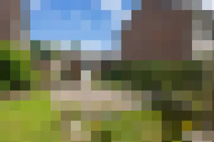 Iepenlaan 8 Geesbrug thumbnail 34