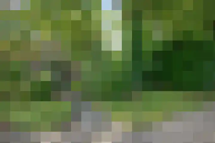Iepenlaan 8 Geesbrug thumbnail 36