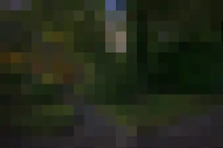 Iepenlaan 8 Geesbrug thumbnail 37