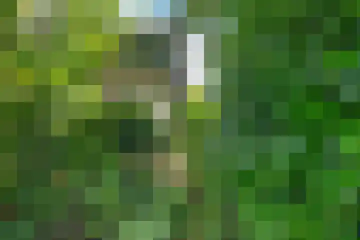 Iepenlaan 8 Geesbrug thumbnail 38