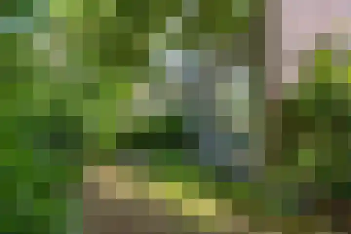Iepenlaan 8 Geesbrug thumbnail 39