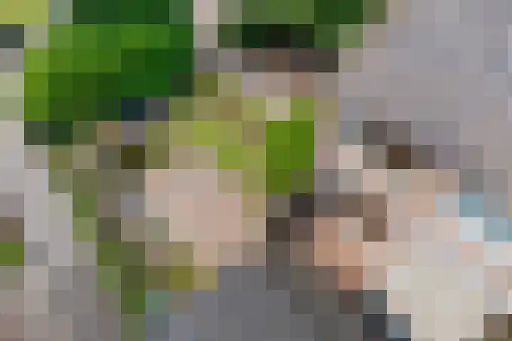 Iepenlaan 8 Geesbrug thumbnail 41
