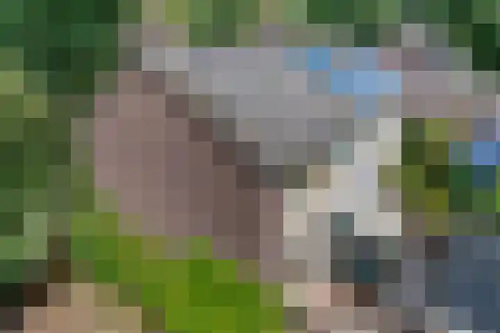 Iepenlaan 8 Geesbrug thumbnail 42