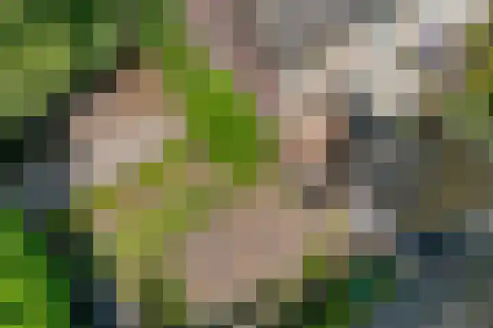 Iepenlaan 8 Geesbrug thumbnail 44
