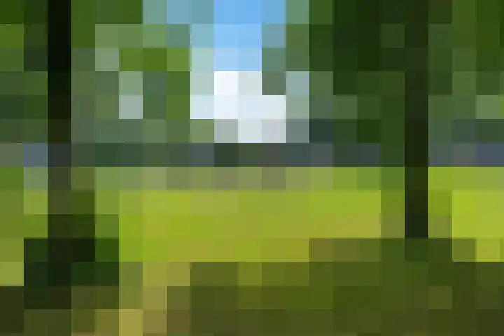 Iepenlaan 8 Geesbrug thumbnail 45