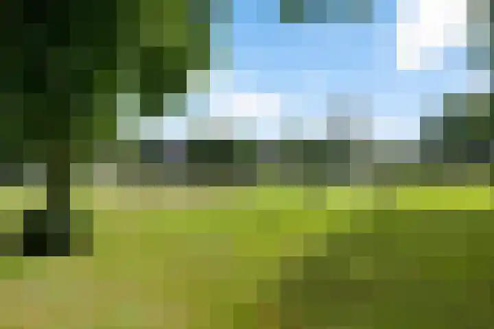 Iepenlaan 8 Geesbrug thumbnail 46
