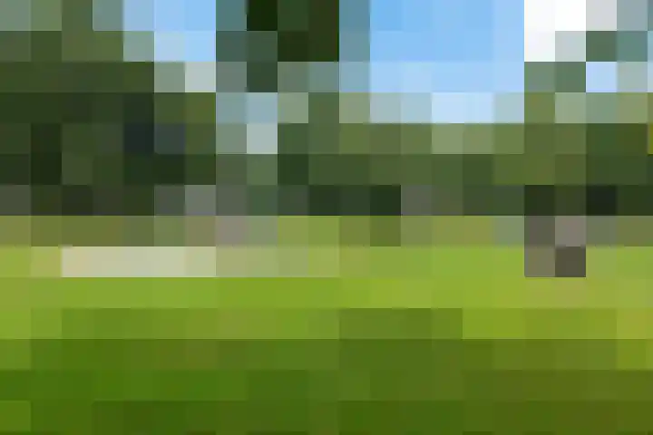 Iepenlaan 8 Geesbrug thumbnail 47