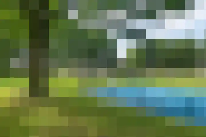 Iepenlaan 8 Geesbrug thumbnail 48