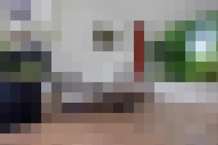 Iepenlaan 8 Geesbrug thumbnail 5