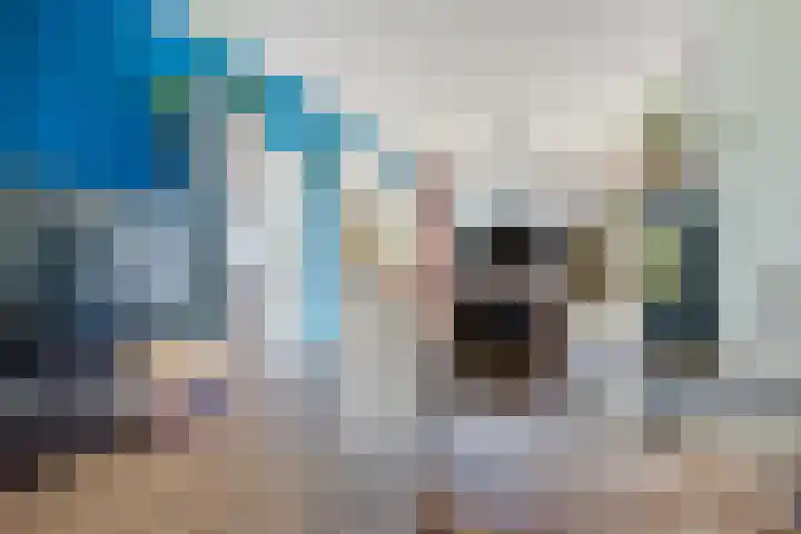 Iepenlaan 8 Geesbrug thumbnail 8