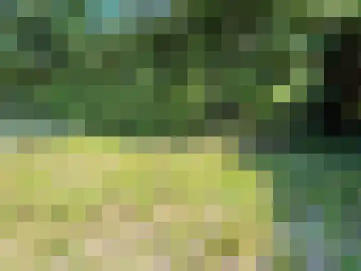 Iepenlaan 8 Wieringerwaard thumbnail 13