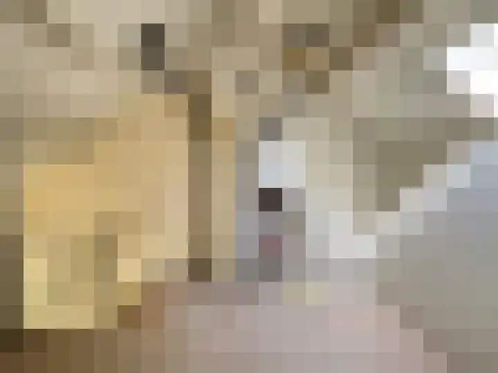 Iepenlaan 8 Wieringerwaard thumbnail 14