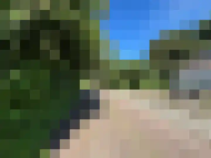 Iepenlaan 8 Wieringerwaard thumbnail 19