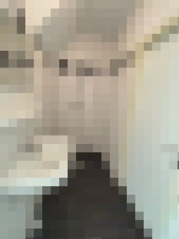Iepenlaan 8 Wieringerwaard thumbnail 4