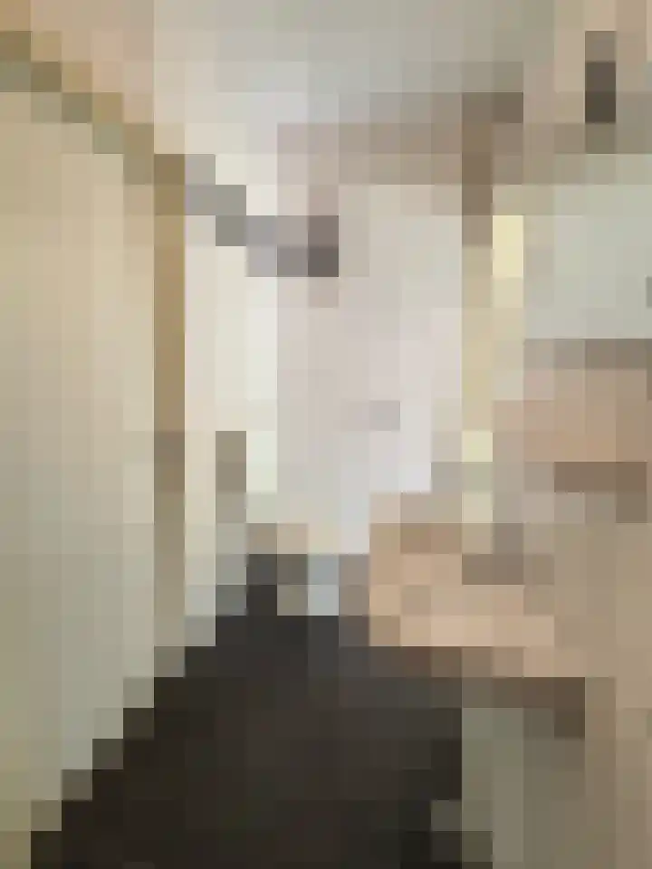 Iepenlaan 8 Wieringerwaard thumbnail 5