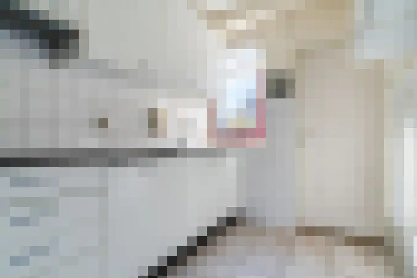 Iepenlaan 8 Zuid-Scharwoude thumbnail 13