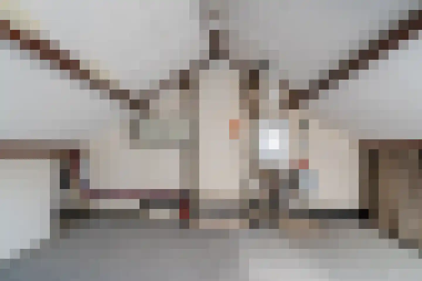 Iepenlaan 8 Zuid-Scharwoude thumbnail 31