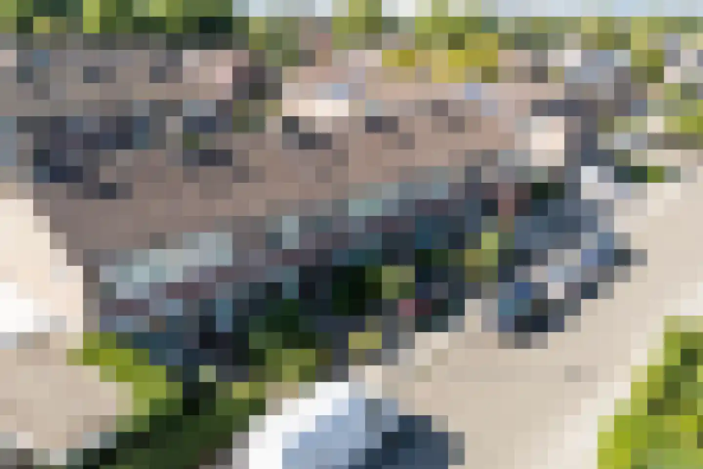 Iepenlaan 8 Zuid-Scharwoude thumbnail 4