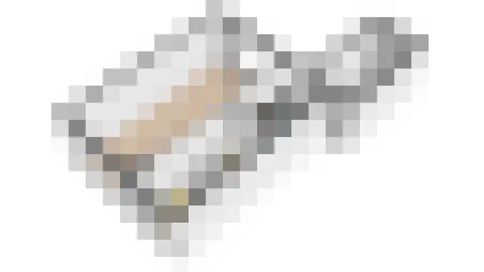 Iepenlaan 8 Zuid-Scharwoude thumbnail 40