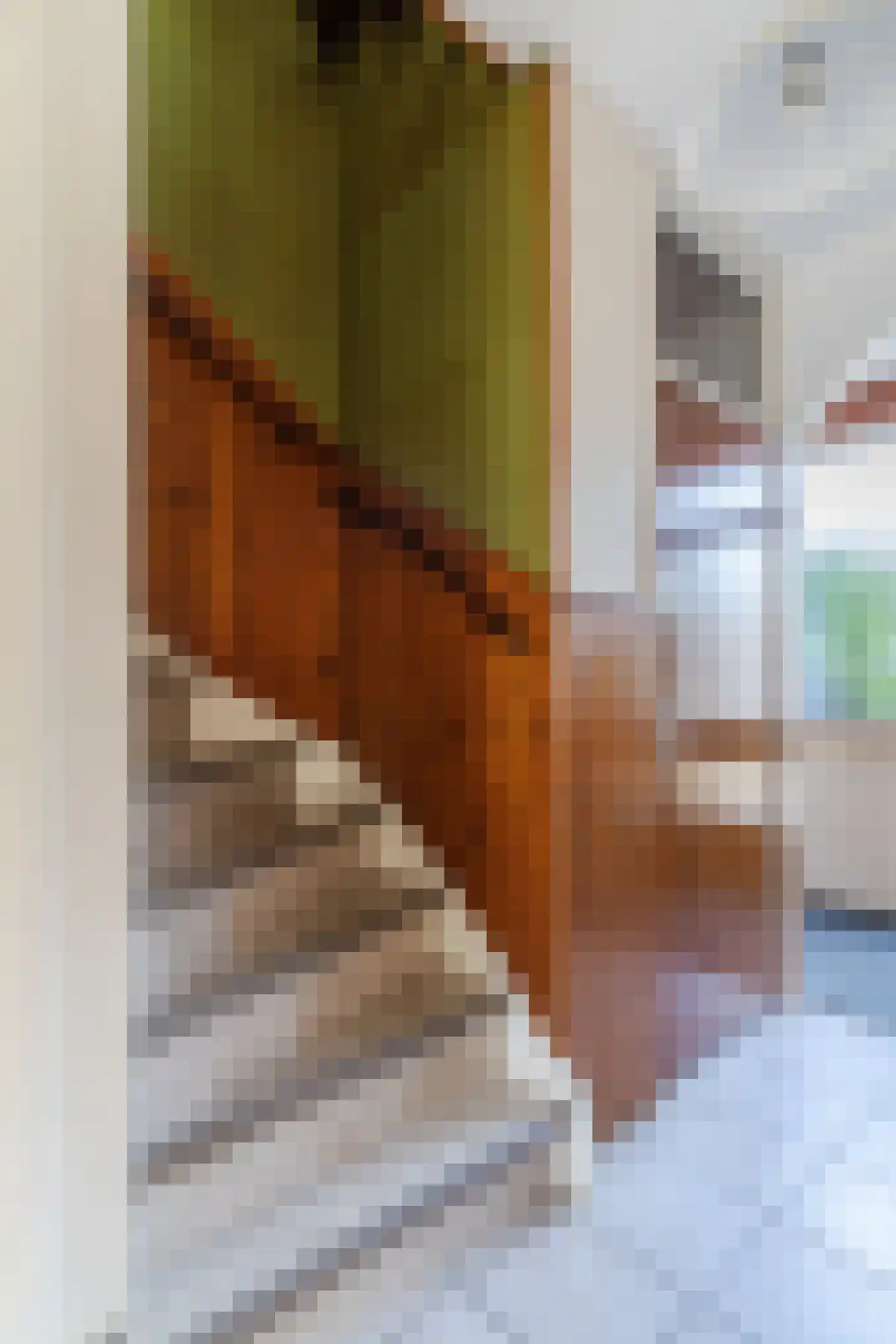 Iepenlaan 8 Zuid-Scharwoude thumbnail 7