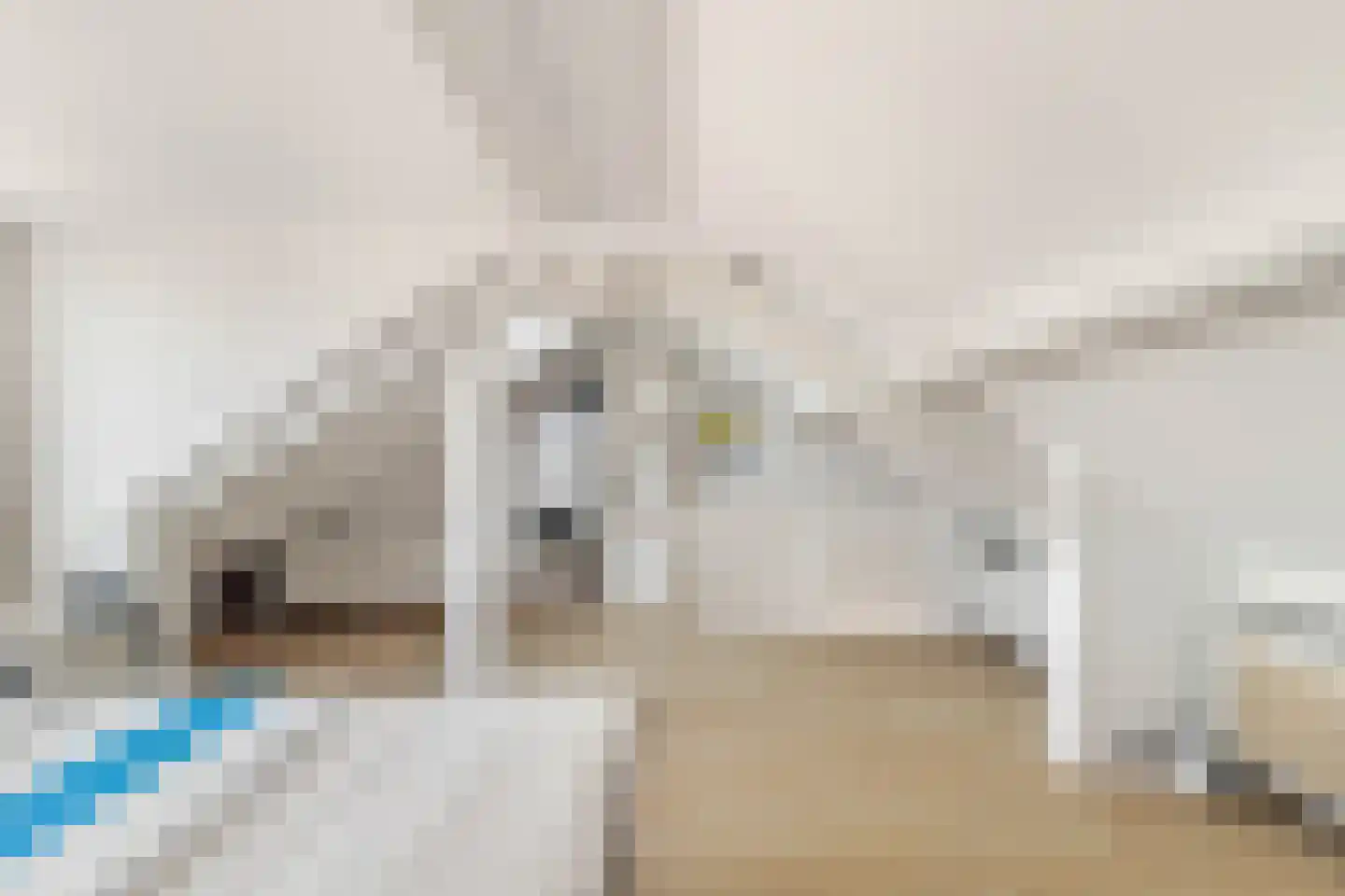 Iepenlaan 89 Castricum thumbnail 32