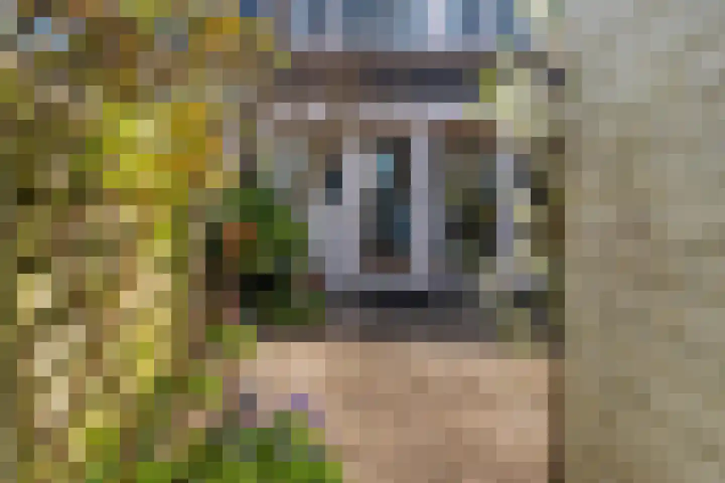 Iepenlaan 89 Castricum thumbnail 39
