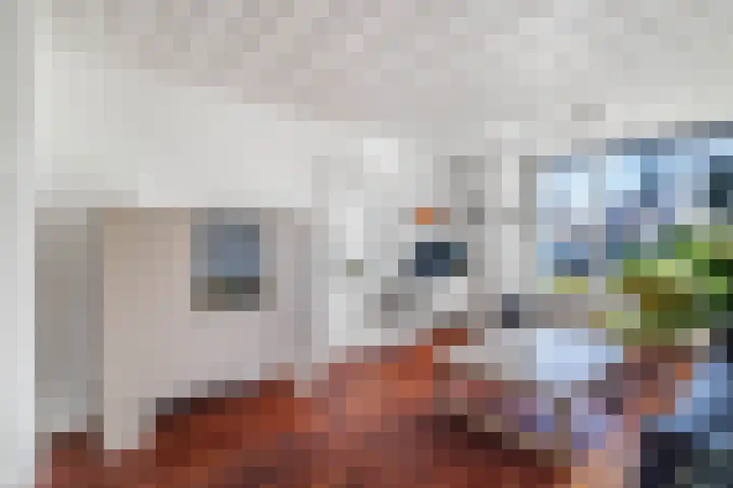 Iepenlaan 89 Castricum thumbnail 8