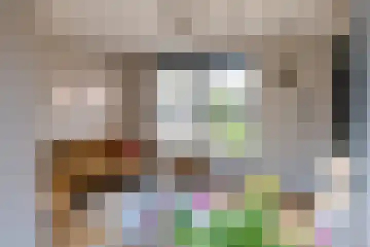 Iepenlaan 9 Dokkum thumbnail 12