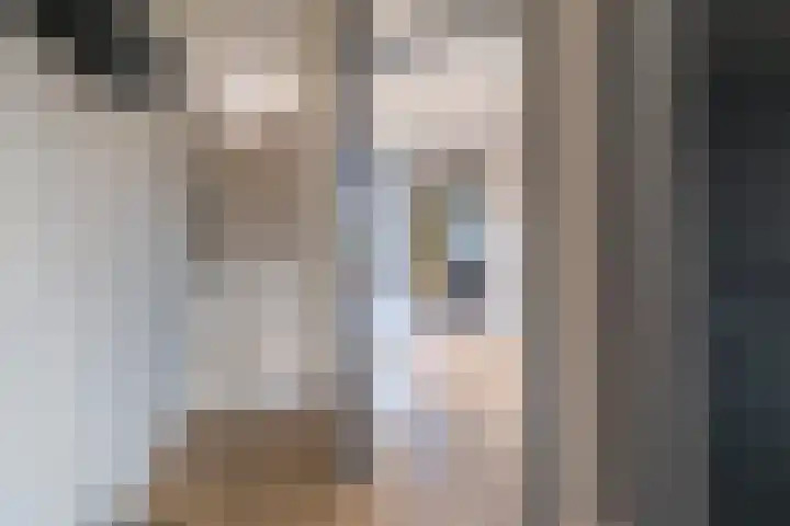 Iepenlaan 9 Dokkum thumbnail 21