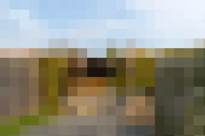 Iepenlaan 9 Dokkum thumbnail 36
