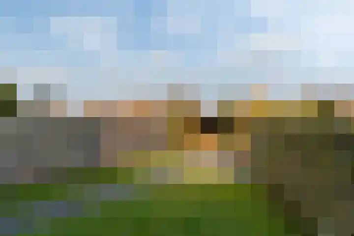 Iepenlaan 9 Dokkum thumbnail 37